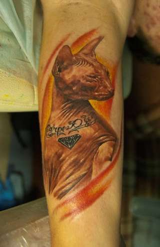 Illustration for article titled Total Jackass Gives His Cat a Tattoo